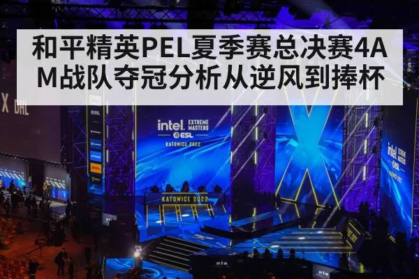 和平精英PEL夏季赛总决赛4AM战队夺冠分析从逆风到捧杯
